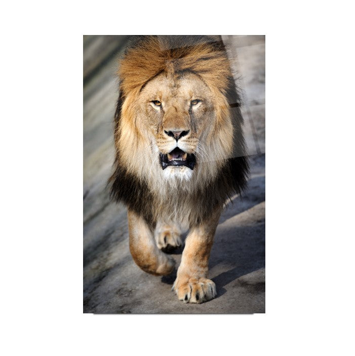 Aslan Cam Tablo