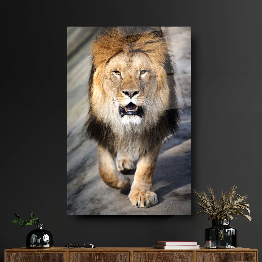 Aslan Cam Tablo