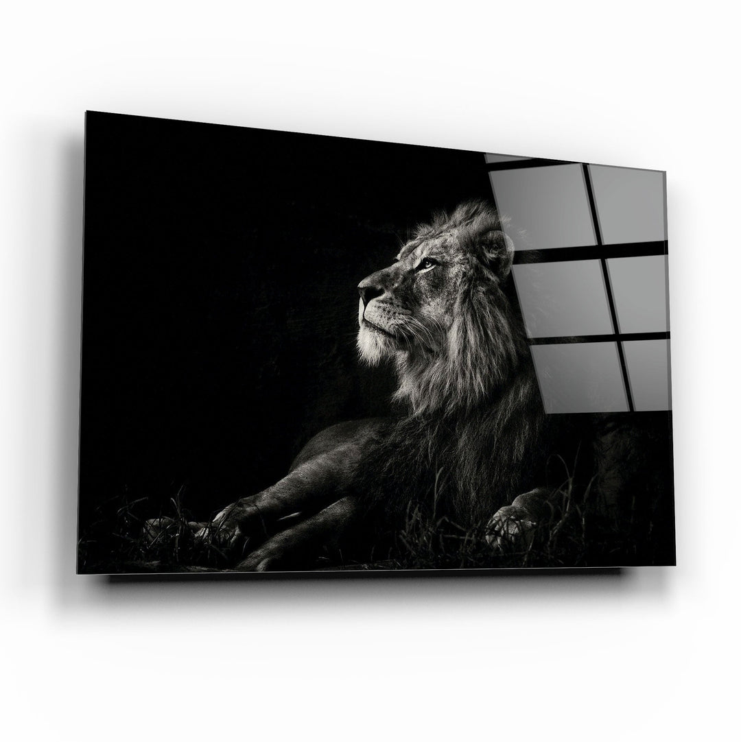 Aslan Cam Tablo