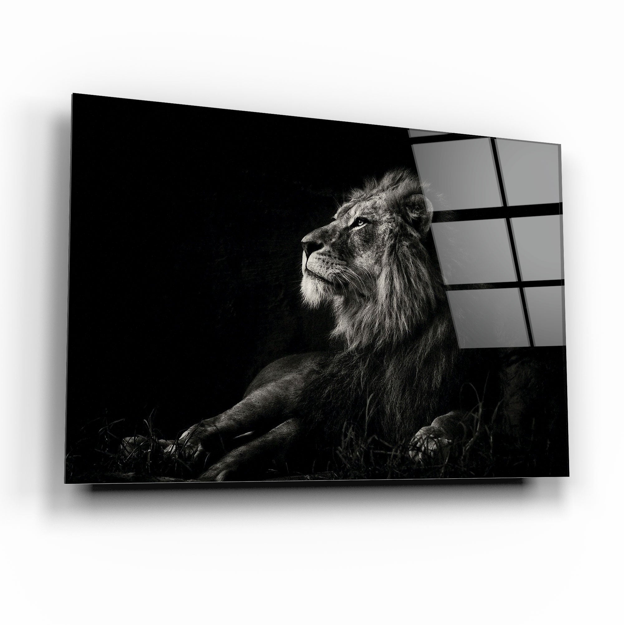 Aslan Cam Tablo