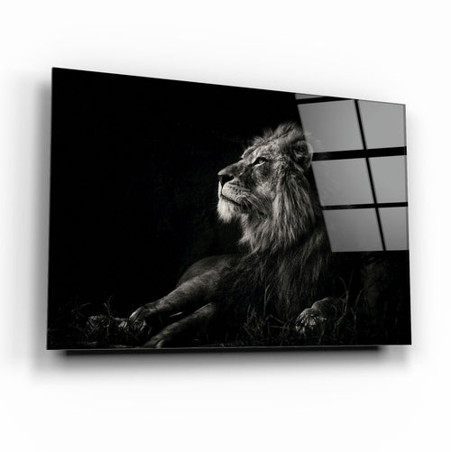 Aslan Cam Tablo