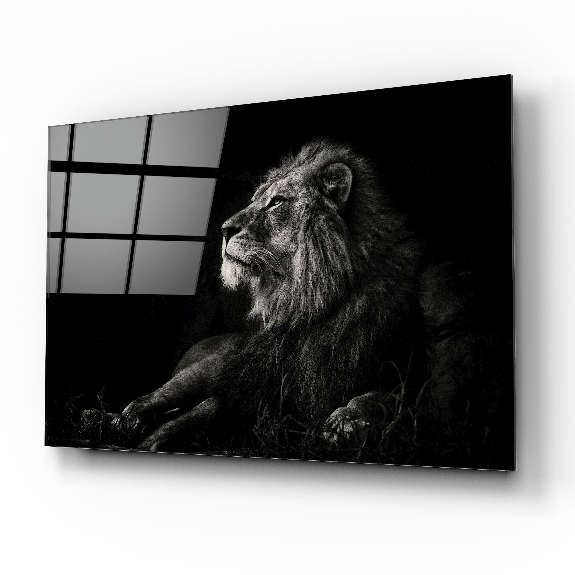 Aslan Cam Tablo