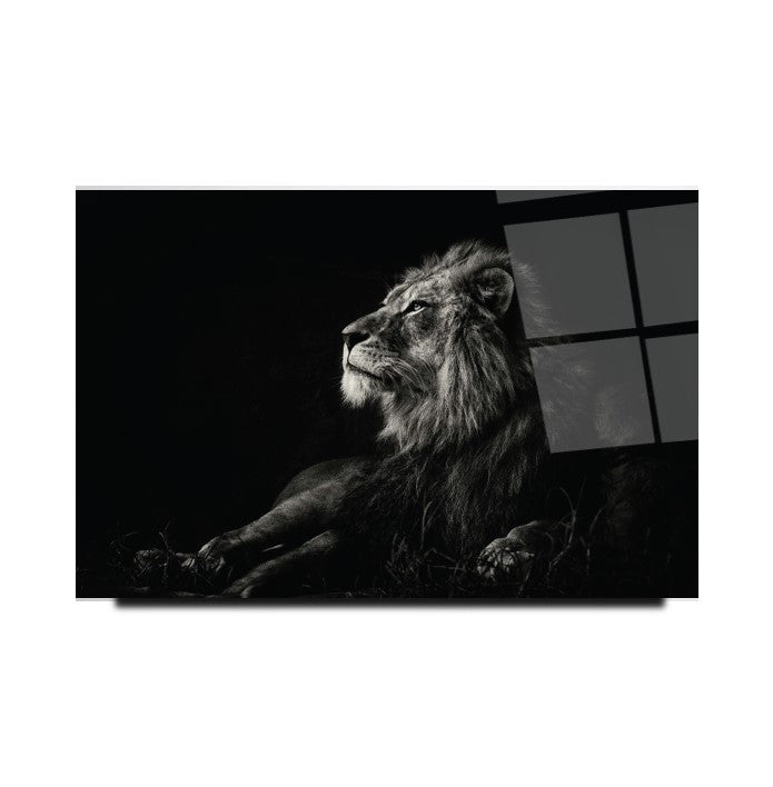 Aslan Cam Tablo