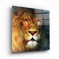 Aslan Cam Tablo