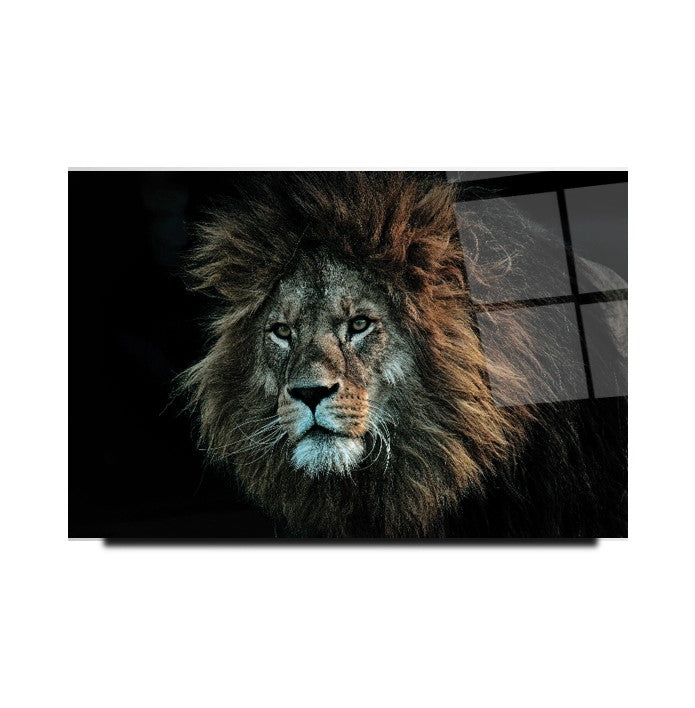 Aslan Cam Tablo