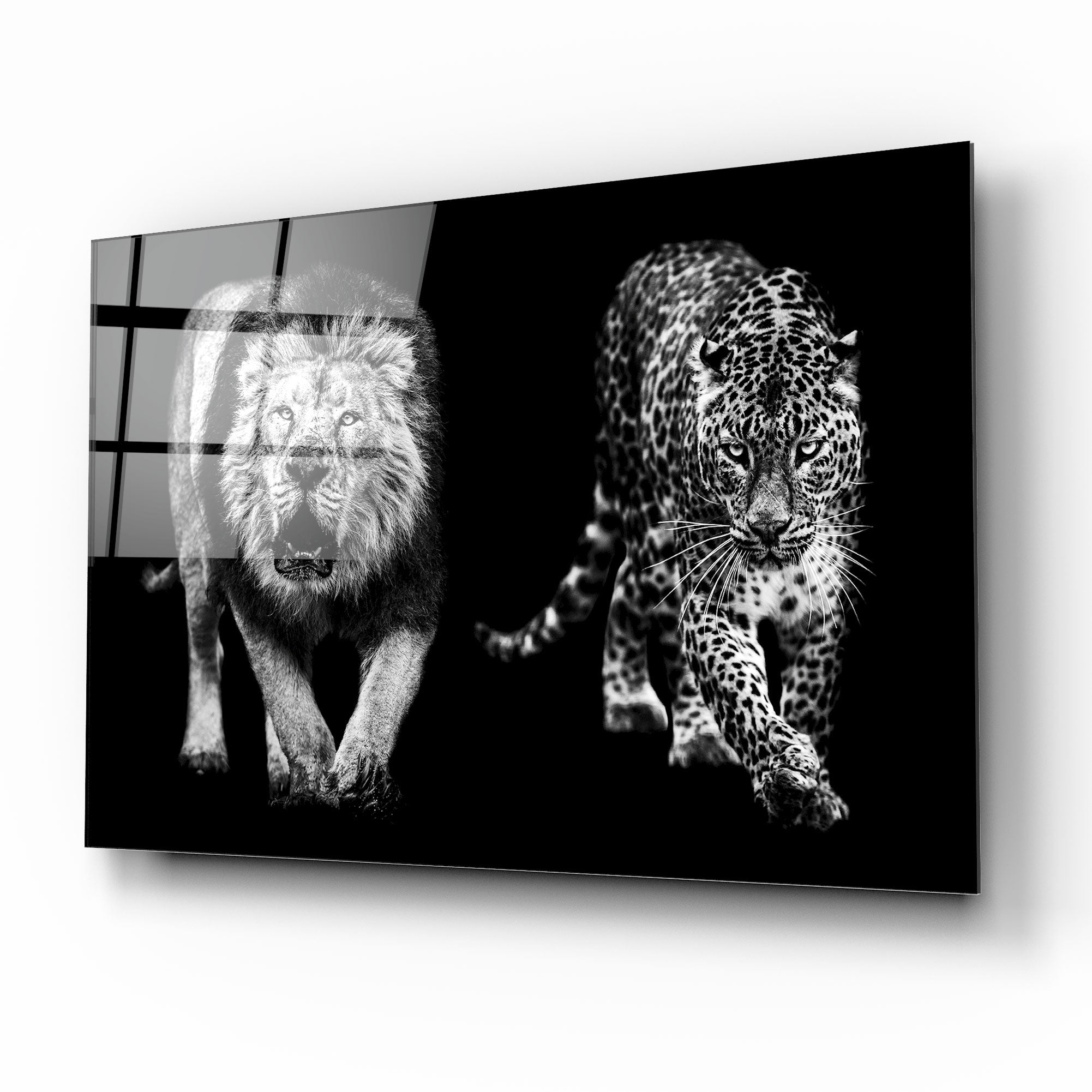 Aslan ve Leopar Cam Tablo