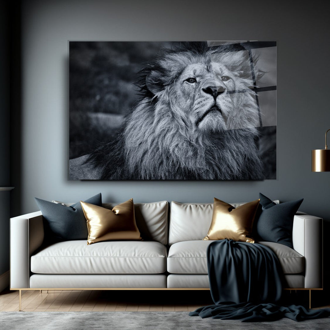 Aslan Cam Tablo