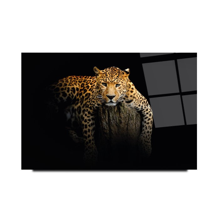 Leopar Cam Tablo