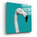 Flamingo Cam Tablo