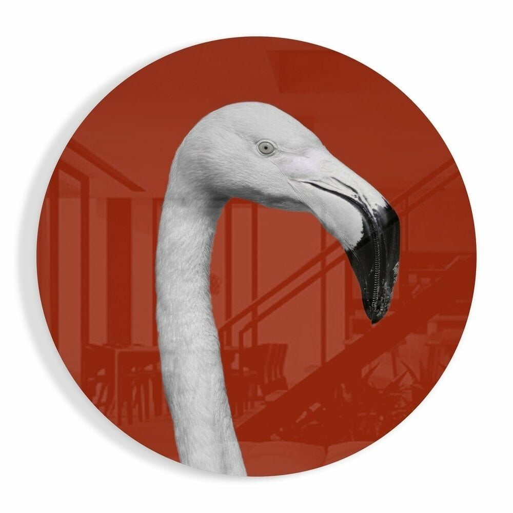 Flamingo Cam Tablo