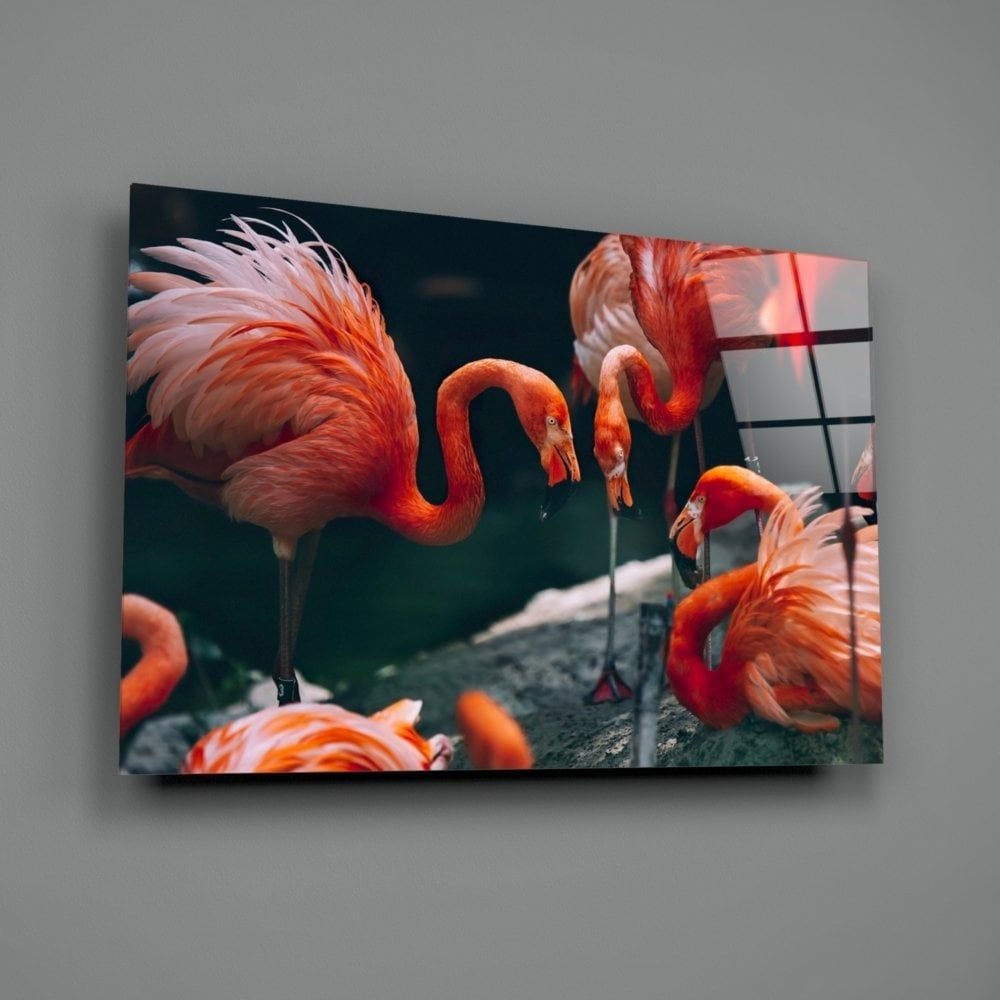 Flamingolar Cam Tablo