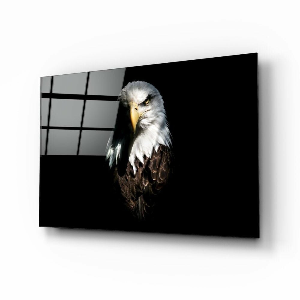 Kartal Cam Tablo No:4030