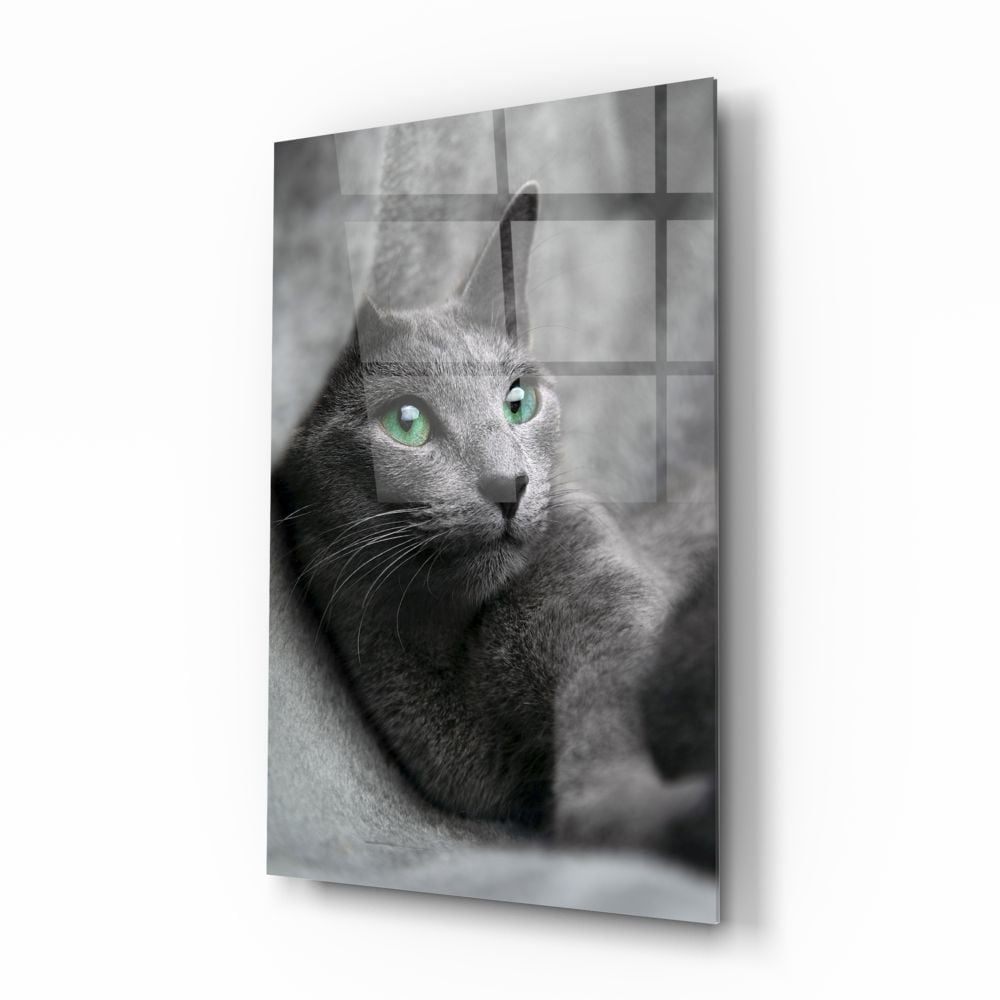 Kedi Cam Tablo