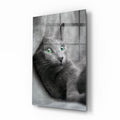 Kedi Cam Tablo