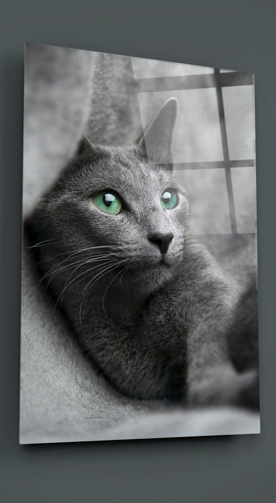 Kedi Cam Tablo