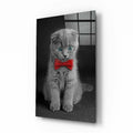 Kedi Cam Tablo