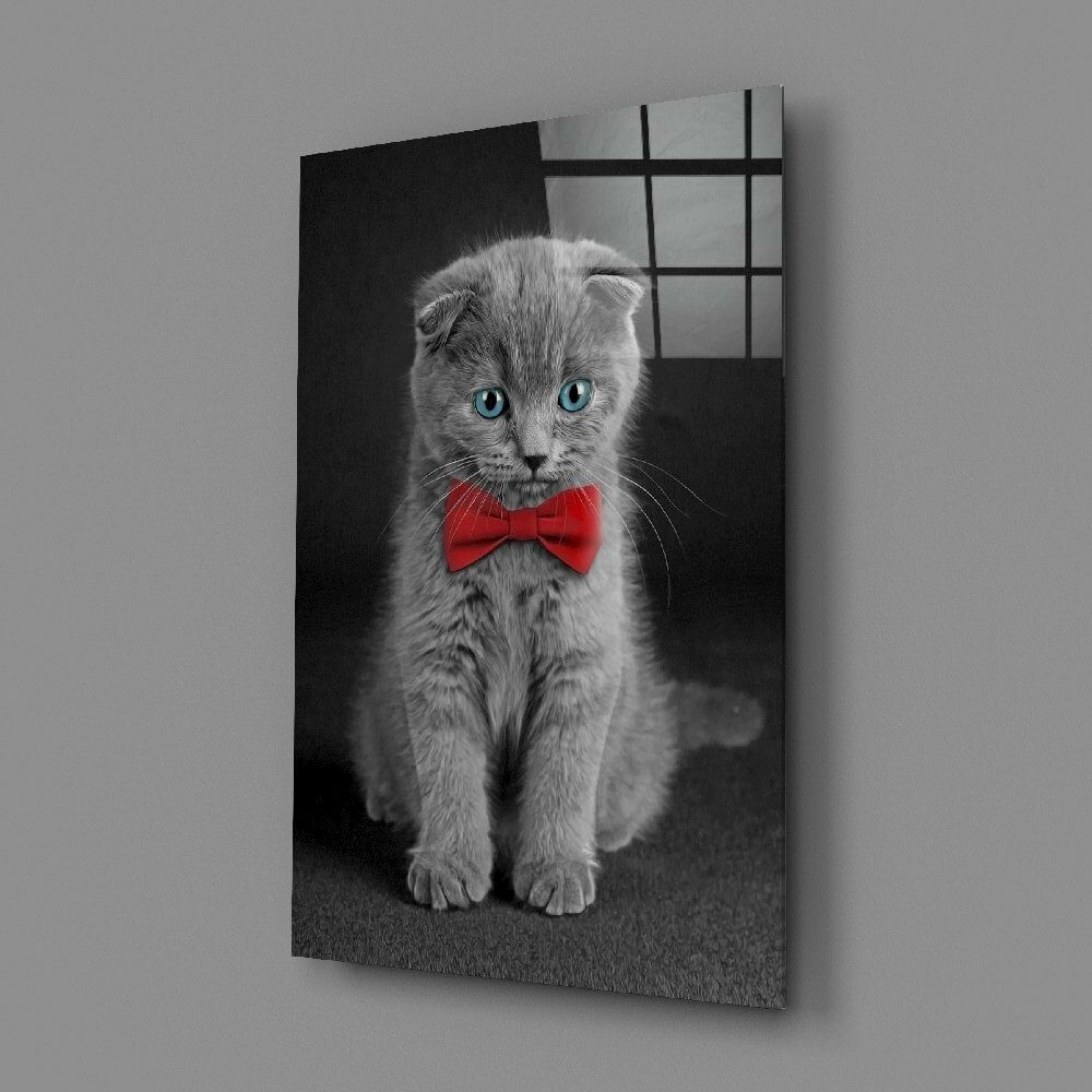 Kedi Cam Tablo