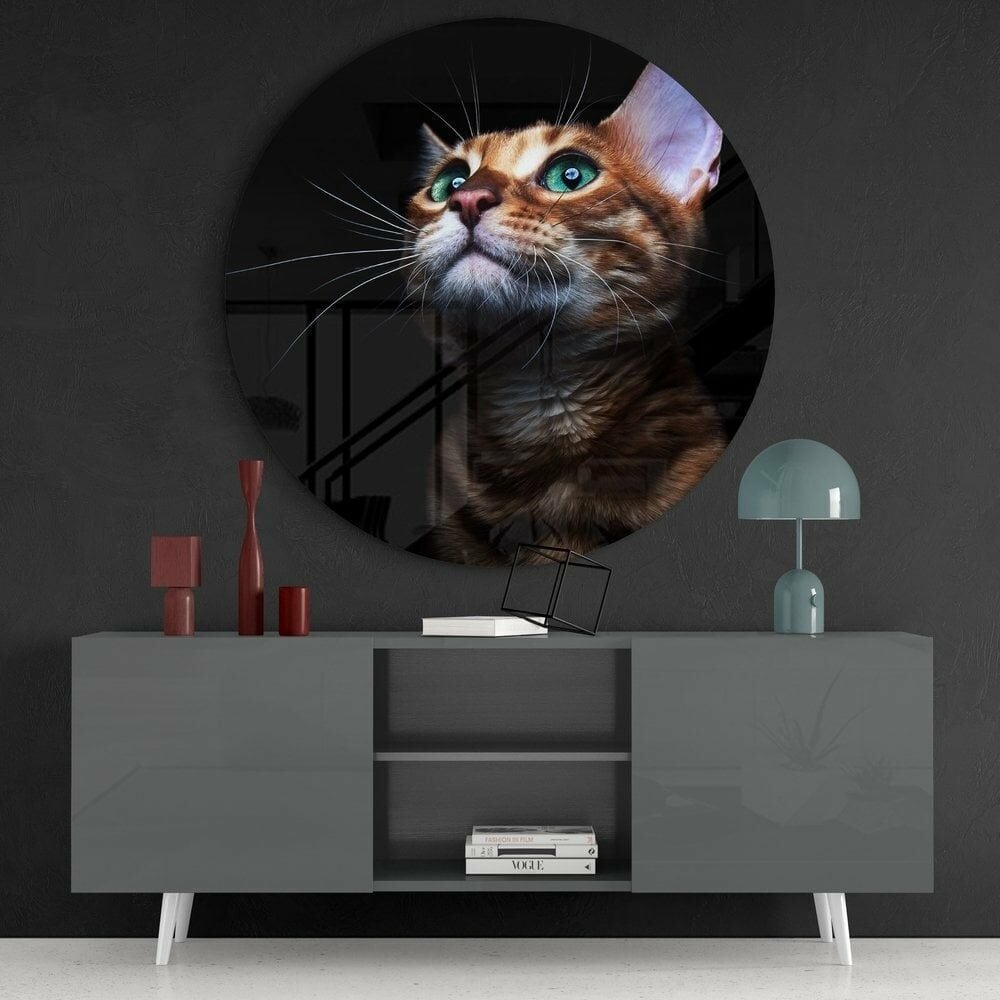 Kedi Cam Tablo