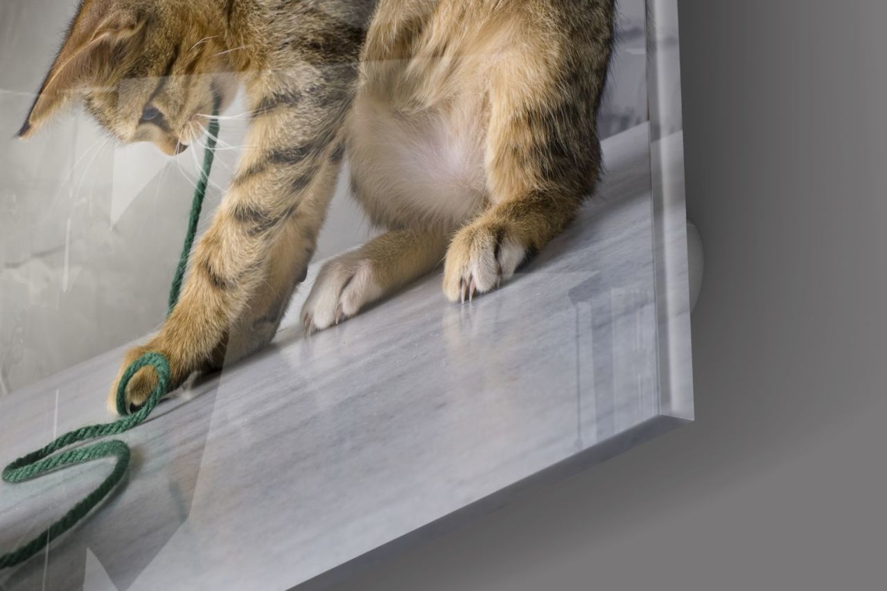 Kedi Cam Tablo No:1103