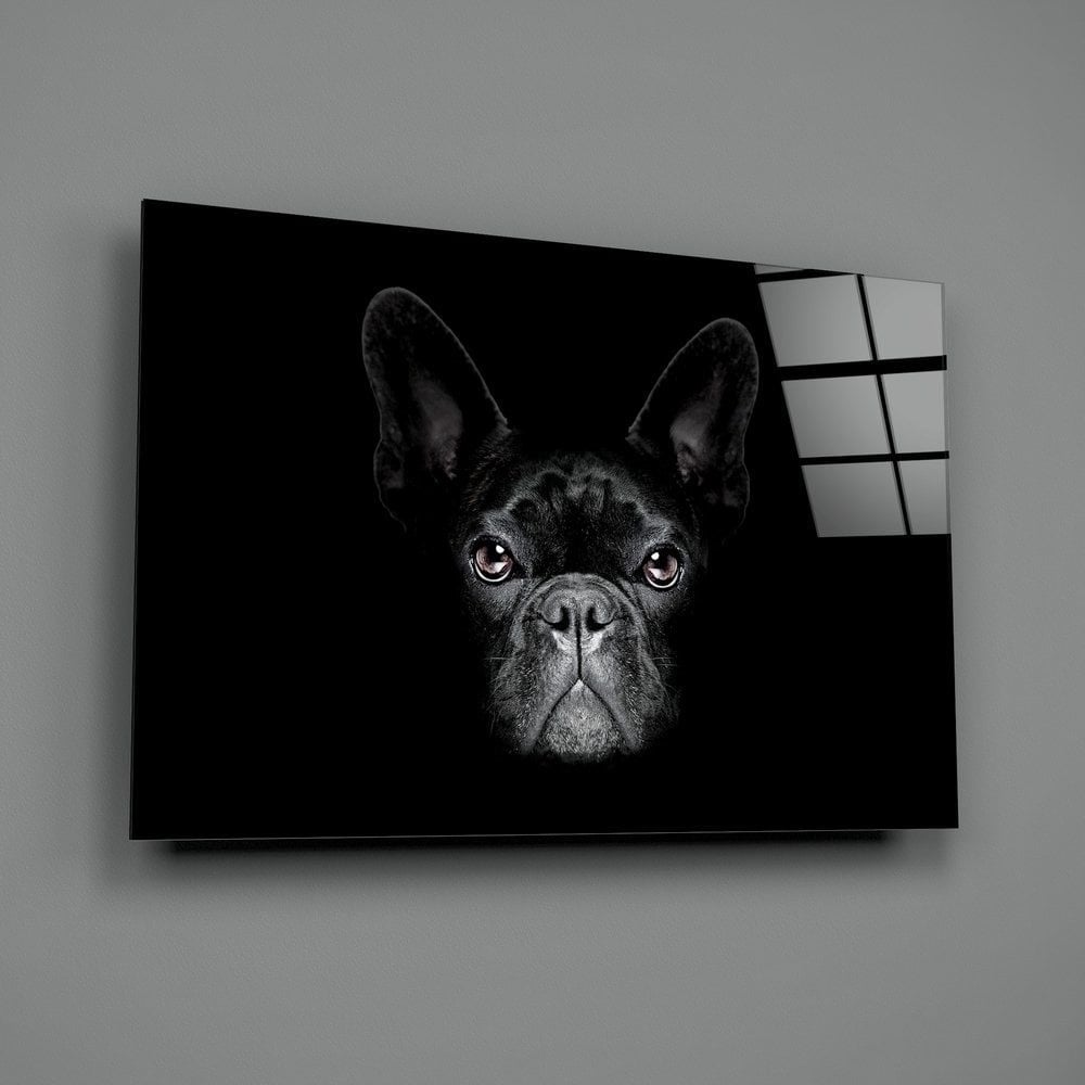 Köpek Cam Tablo