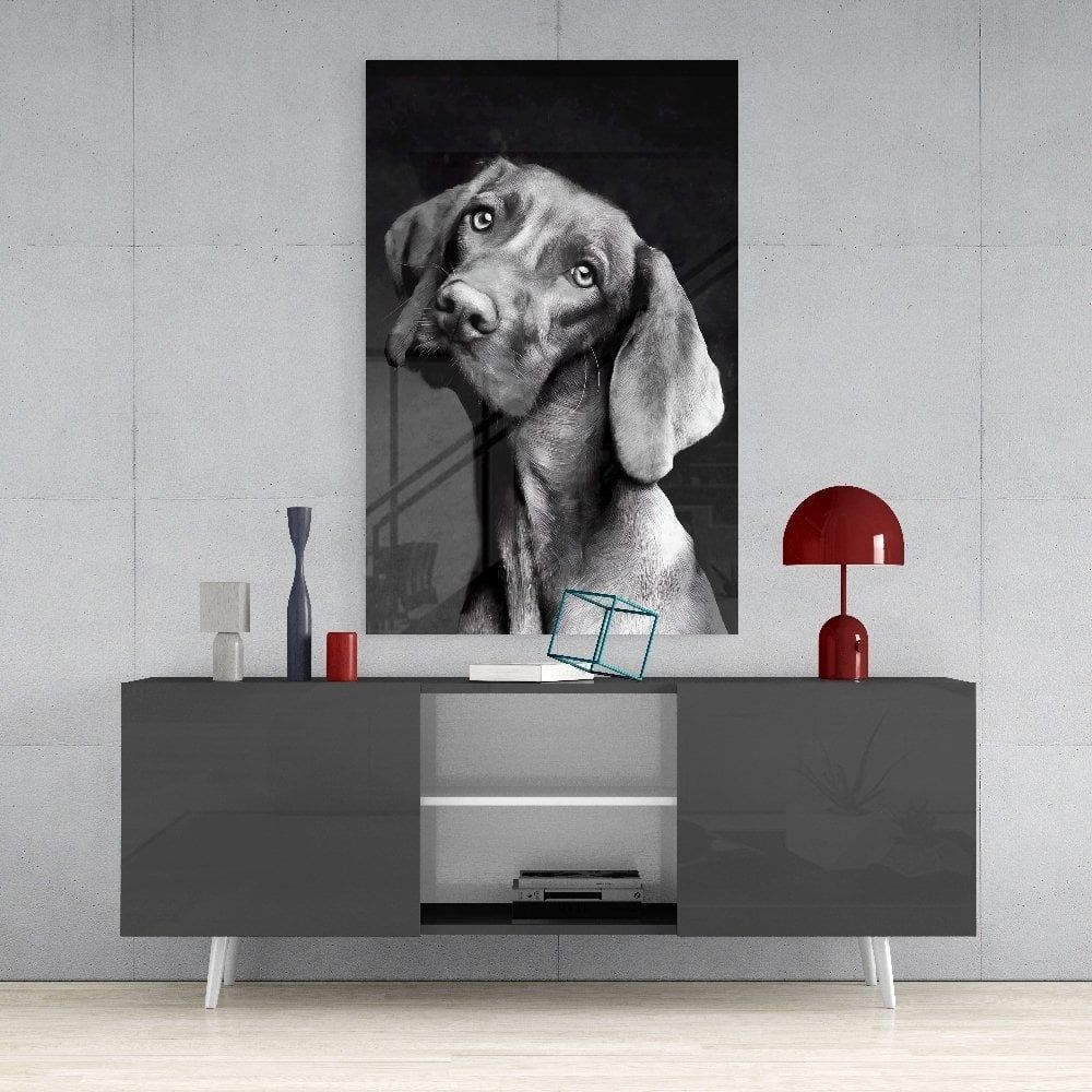 Masum Köpek Cam Tablo