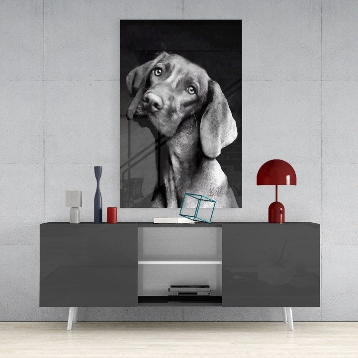 Masum Köpek Cam Tablo