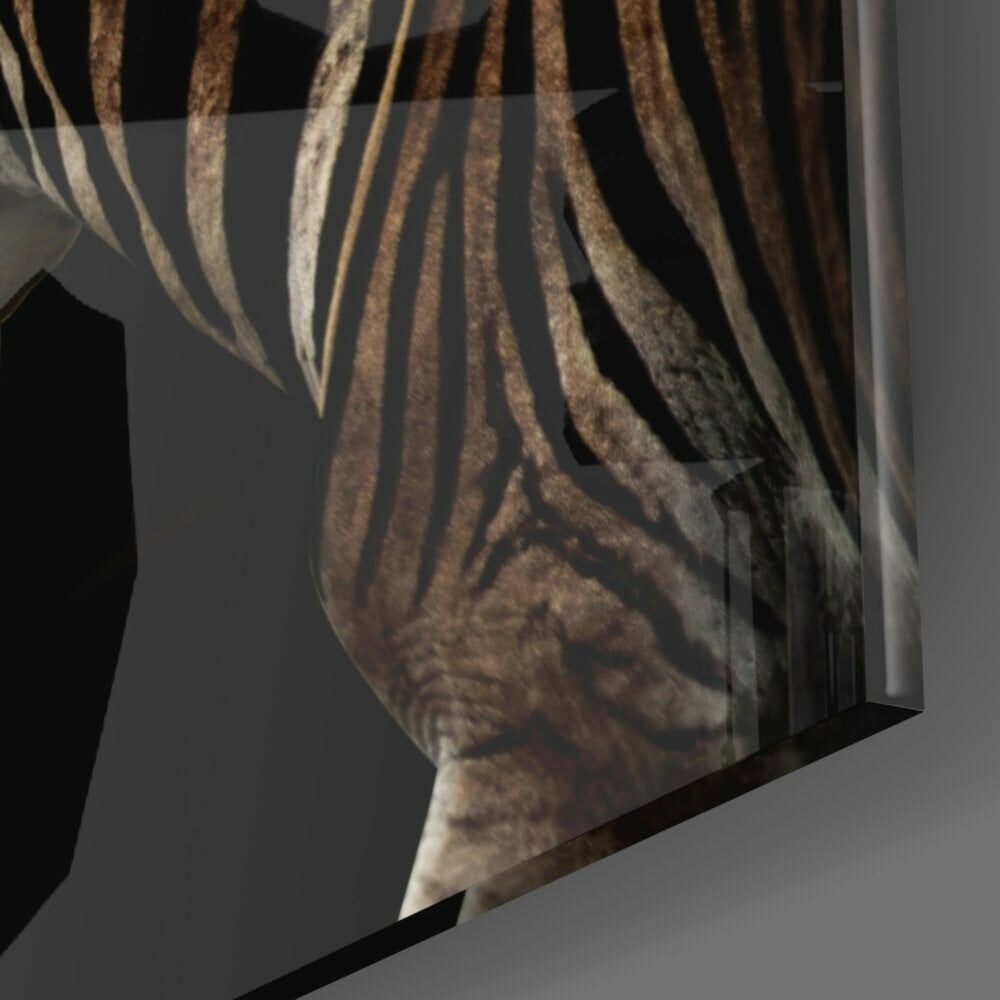 Zebra Cam Tablo No:1048
